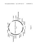 Anti-T. Cruzi Antibodies and Methods of Use diagram and image