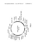 Anti-T. Cruzi Antibodies and Methods of Use diagram and image