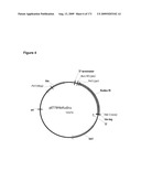 COMPOSITIONS AND METHODS FOR PRODUCING ISOPRENE diagram and image