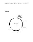 COMPOSITIONS AND METHODS FOR PRODUCING ISOPRENE diagram and image