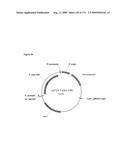 COMPOSITIONS AND METHODS FOR PRODUCING ISOPRENE diagram and image