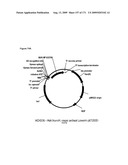 COMPOSITIONS AND METHODS FOR PRODUCING ISOPRENE diagram and image