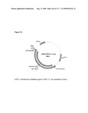 COMPOSITIONS AND METHODS FOR PRODUCING ISOPRENE diagram and image