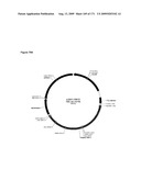 COMPOSITIONS AND METHODS FOR PRODUCING ISOPRENE diagram and image