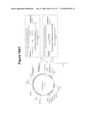 COMPOSITIONS AND METHODS FOR PRODUCING ISOPRENE diagram and image