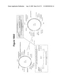 COMPOSITIONS AND METHODS FOR PRODUCING ISOPRENE diagram and image