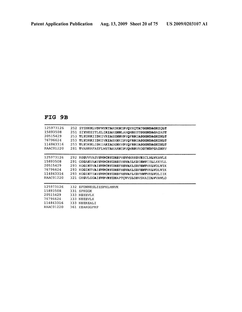 Thermophilic and thermoacidophilic biopolymer-degrading genes and enzymes from alicyclobacillus acidocaldarius and related organisms, methods - diagram, schematic, and image 21