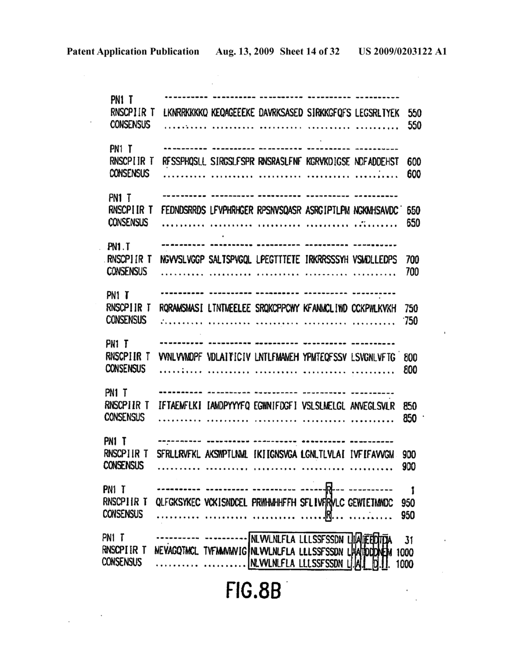 Peripheral nervous system specific sodium channels, DNA encoding therefor, crystallization, x-ray diffraction, computer molecular modeling, rational drug design, drug screening, and methods of making and using thereof - diagram, schematic, and image 15