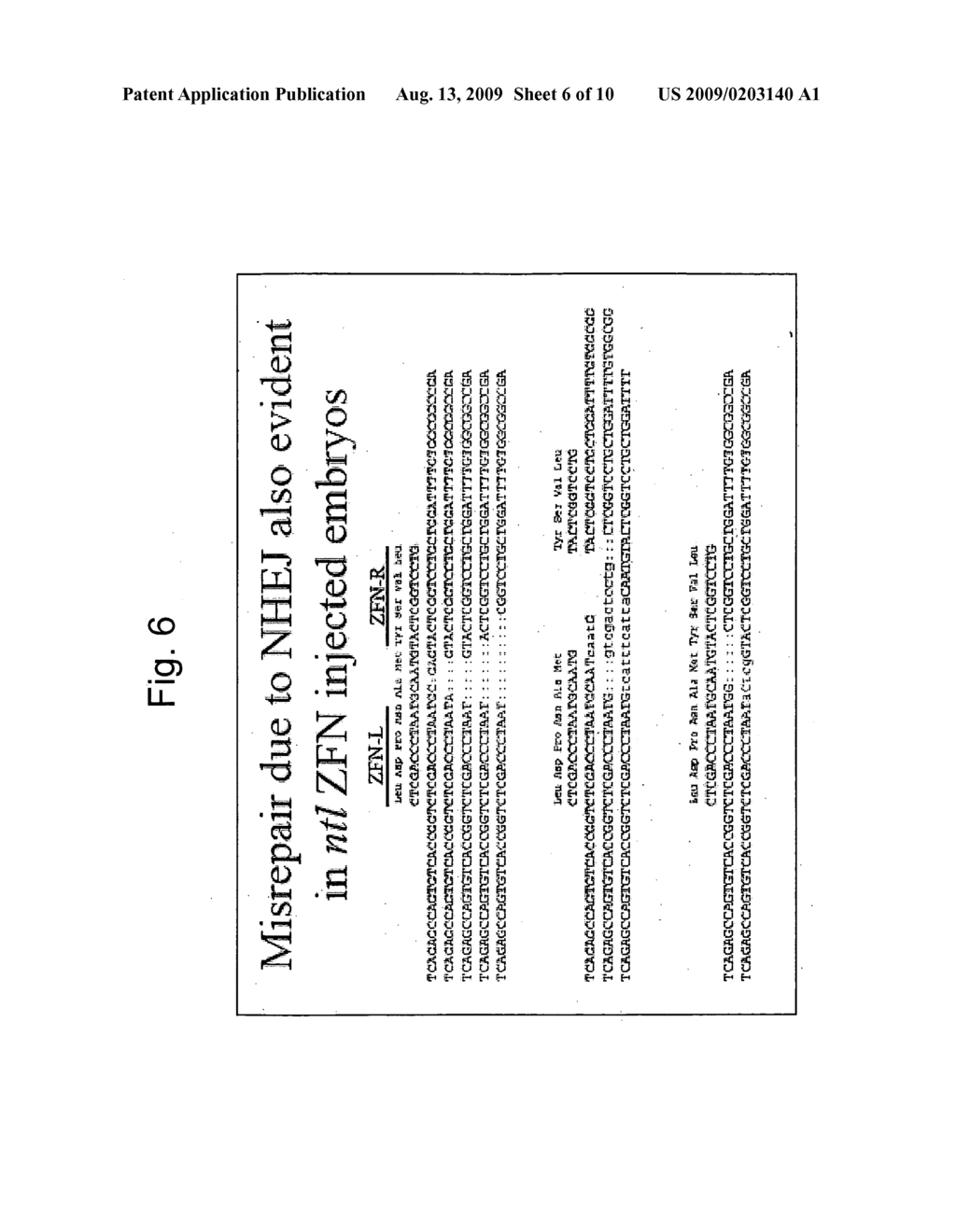 Genomic editing in zebrafish using zinc finger nucleases - diagram, schematic, and image 07