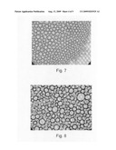 Composition Having a Germination-Preventing Activity, Processes For Obtaining Said Compositions and Use thereof diagram and image