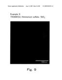 METHOD OF TWO-DIMENSIONALLY ARRAYING FERRITIN ON SUBSTRATE diagram and image