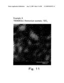 METHOD OF TWO-DIMENSIONALLY ARRAYING FERRITIN ON SUBSTRATE diagram and image