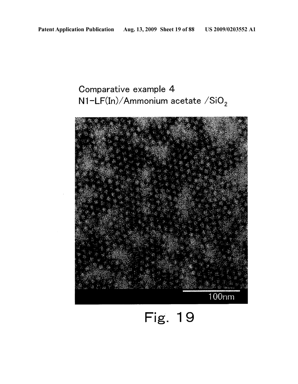 METHOD OF TWO-DIMENSIONALLY ARRAYING FERRITIN ON SUBSTRATE - diagram, schematic, and image 20