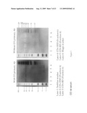 Compositions and methods for diagnosis and treatment of type 2 diabetes diagram and image