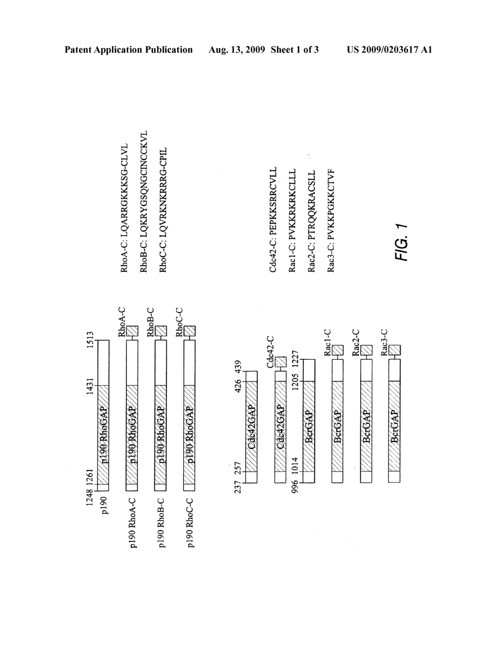 CHIMERIC PEPTIDES FOR THE REGULATION OF GTPASES - diagram, schematic, and image 02