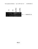 ANTI-PROLIFERATIVE COMPOUNDS FROM A 3-ARYL-COUMARINE OR 3-ARYL-QUINOLIN-2-ONE AND USES THEREOF diagram and image