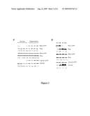 Modulation of the integrin-linked kinase signaling pathway provides beneficial human cardiac hypertrophy and post myocardial infarction remodeling diagram and image