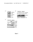 Modulation of the integrin-linked kinase signaling pathway provides beneficial human cardiac hypertrophy and post myocardial infarction remodeling diagram and image