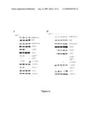 Modulation of the integrin-linked kinase signaling pathway provides beneficial human cardiac hypertrophy and post myocardial infarction remodeling diagram and image