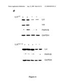 Modulation of the integrin-linked kinase signaling pathway provides beneficial human cardiac hypertrophy and post myocardial infarction remodeling diagram and image