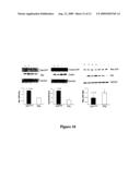 Modulation of the integrin-linked kinase signaling pathway provides beneficial human cardiac hypertrophy and post myocardial infarction remodeling diagram and image