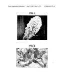 Novel compound and a novel microorganism for producing the novel compound diagram and image