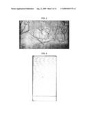 Novel compound and a novel microorganism for producing the novel compound diagram and image