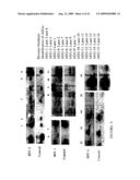 Astrocyte Modulated Genes And Uses Thereof diagram and image
