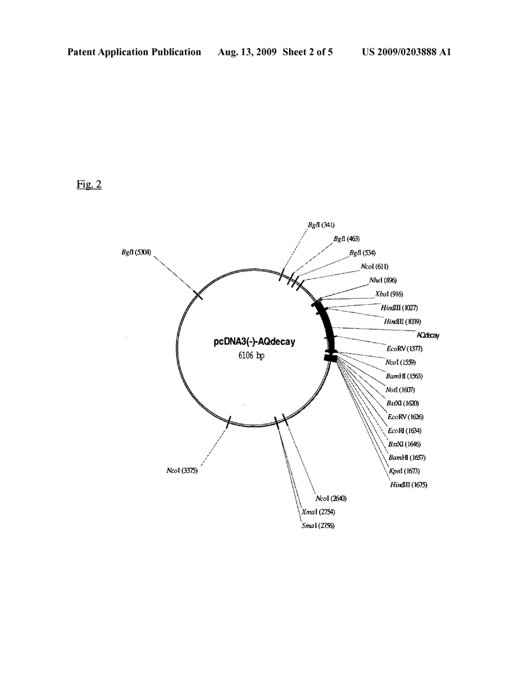 Isolated Photoprotein Aqdecay, and Its Use - diagram, schematic, and image 03