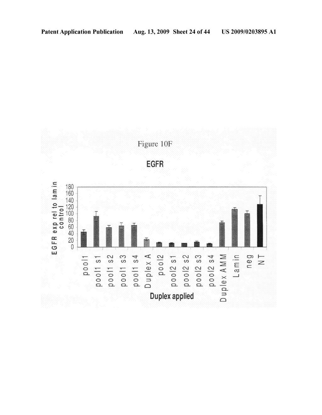 siRNA targeting cyclin-dependent kinase 4 (CDK4) - diagram, schematic, and image 25