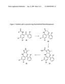 Process for preparing pyrazole functionalized benzodiazepinones diagram and image