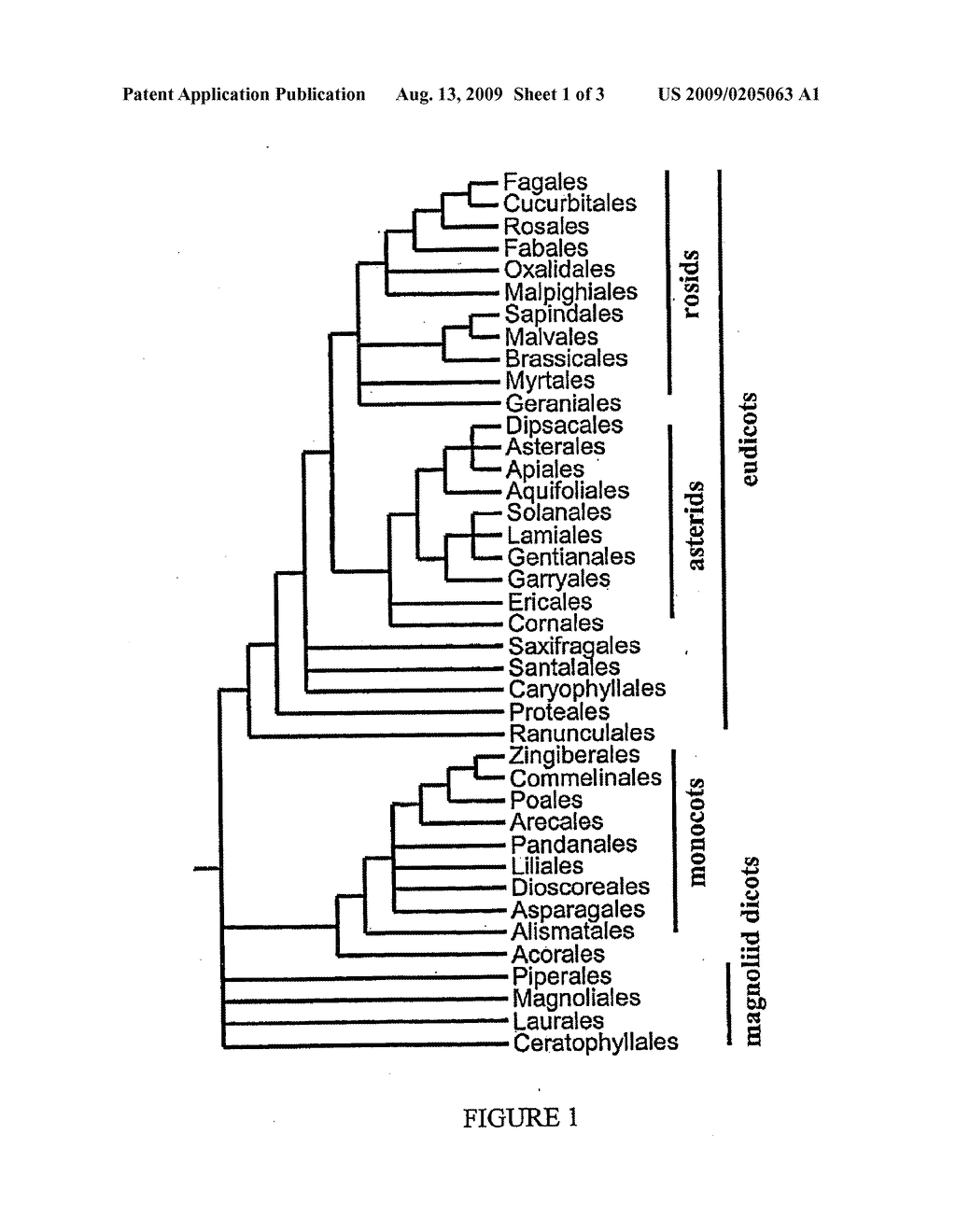 Plant polynucleotides for improved yield and quality - diagram, schematic, and image 02