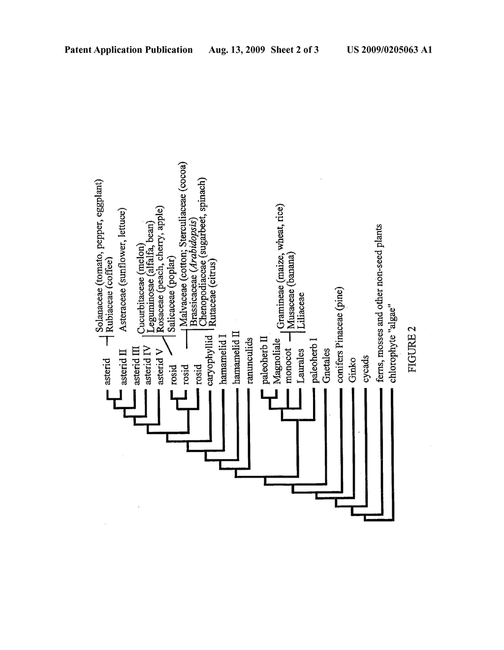 Plant polynucleotides for improved yield and quality - diagram, schematic, and image 03