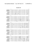 ALTERATION OF TOBACCO ALKALOID CONTENT THROUGH MODIFICATION OF SPECIFIC CYTOCHROME P450 GENES diagram and image