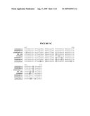 ALTERATION OF TOBACCO ALKALOID CONTENT THROUGH MODIFICATION OF SPECIFIC CYTOCHROME P450 GENES diagram and image