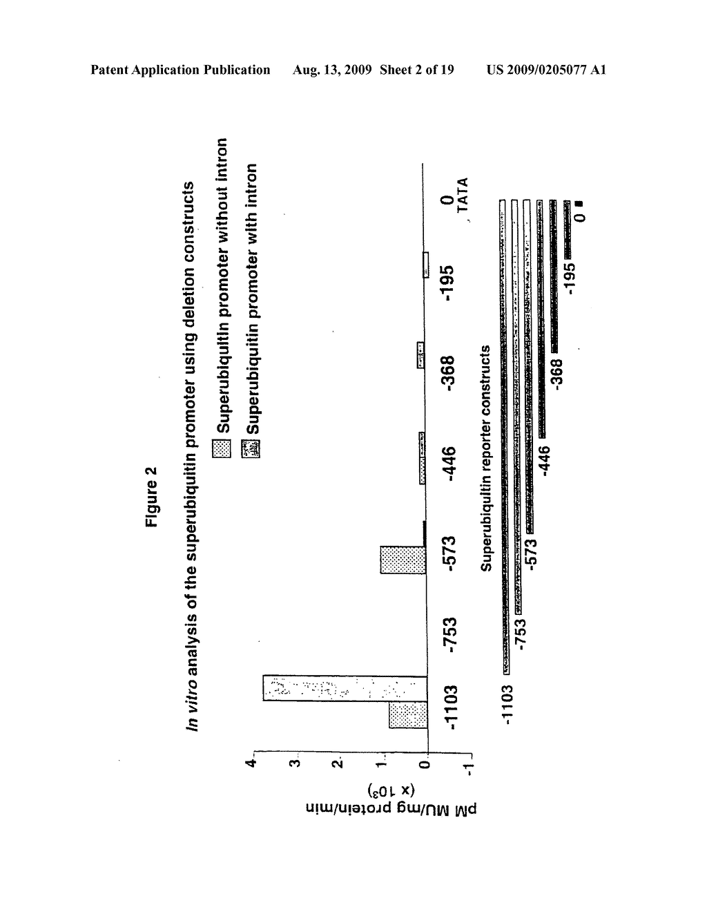 COMPOSITIONS AND METHODS FOR THE MODIFICATION OF GENE EXPRESSION - diagram, schematic, and image 03