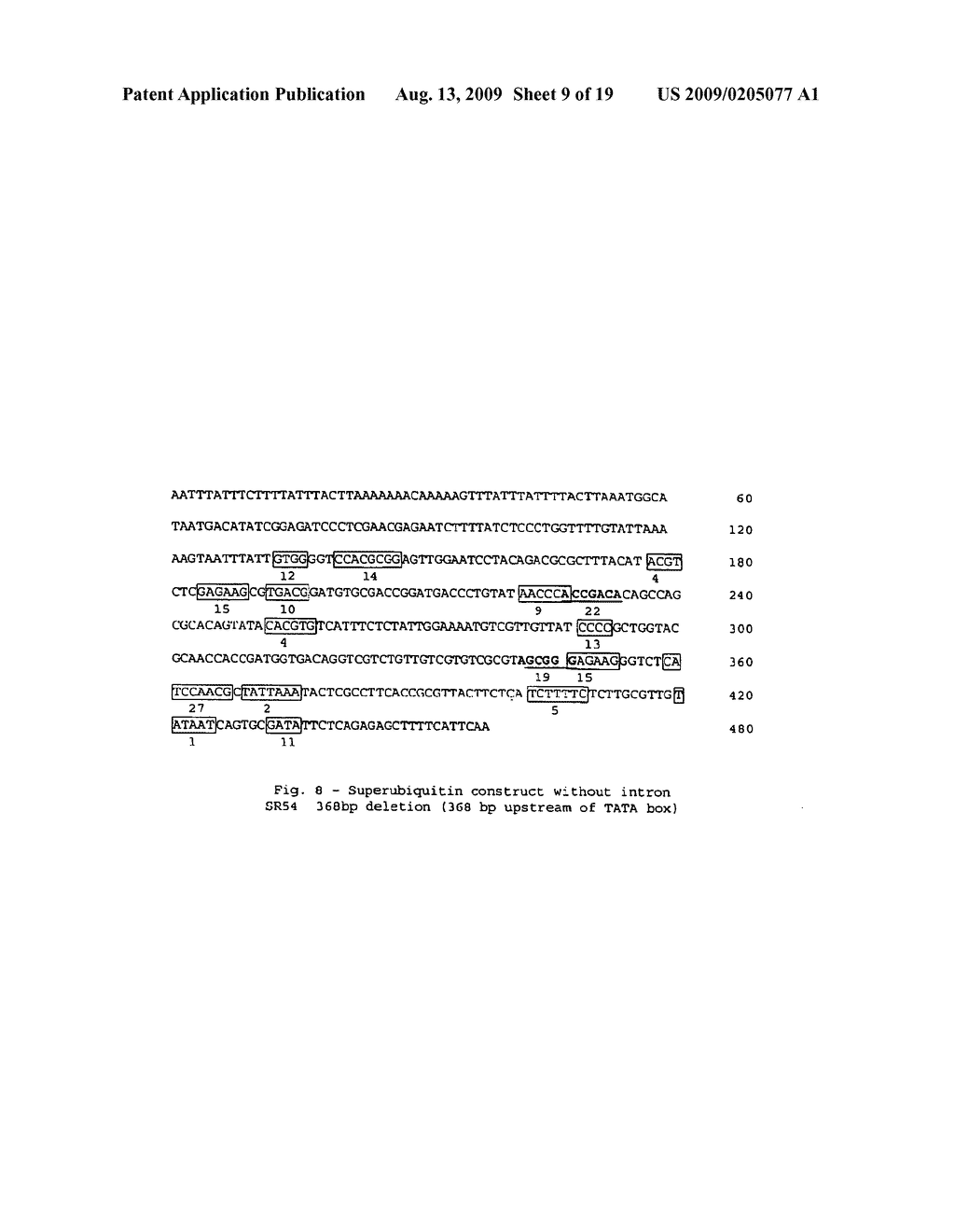 COMPOSITIONS AND METHODS FOR THE MODIFICATION OF GENE EXPRESSION - diagram, schematic, and image 10