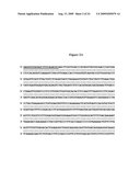 ACETYL CoA CARBOXYLASE (ACCase) GENE FROM JATROPHA CURAS diagram and image