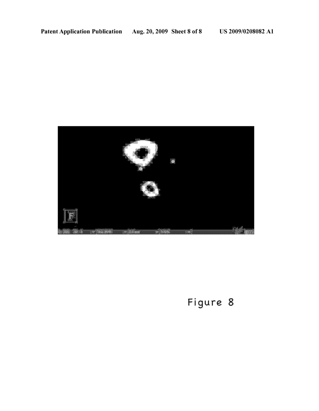 AUTOMATIC IMAGE SEGMENTATION METHODS AND APPARATUS - diagram, schematic, and image 09