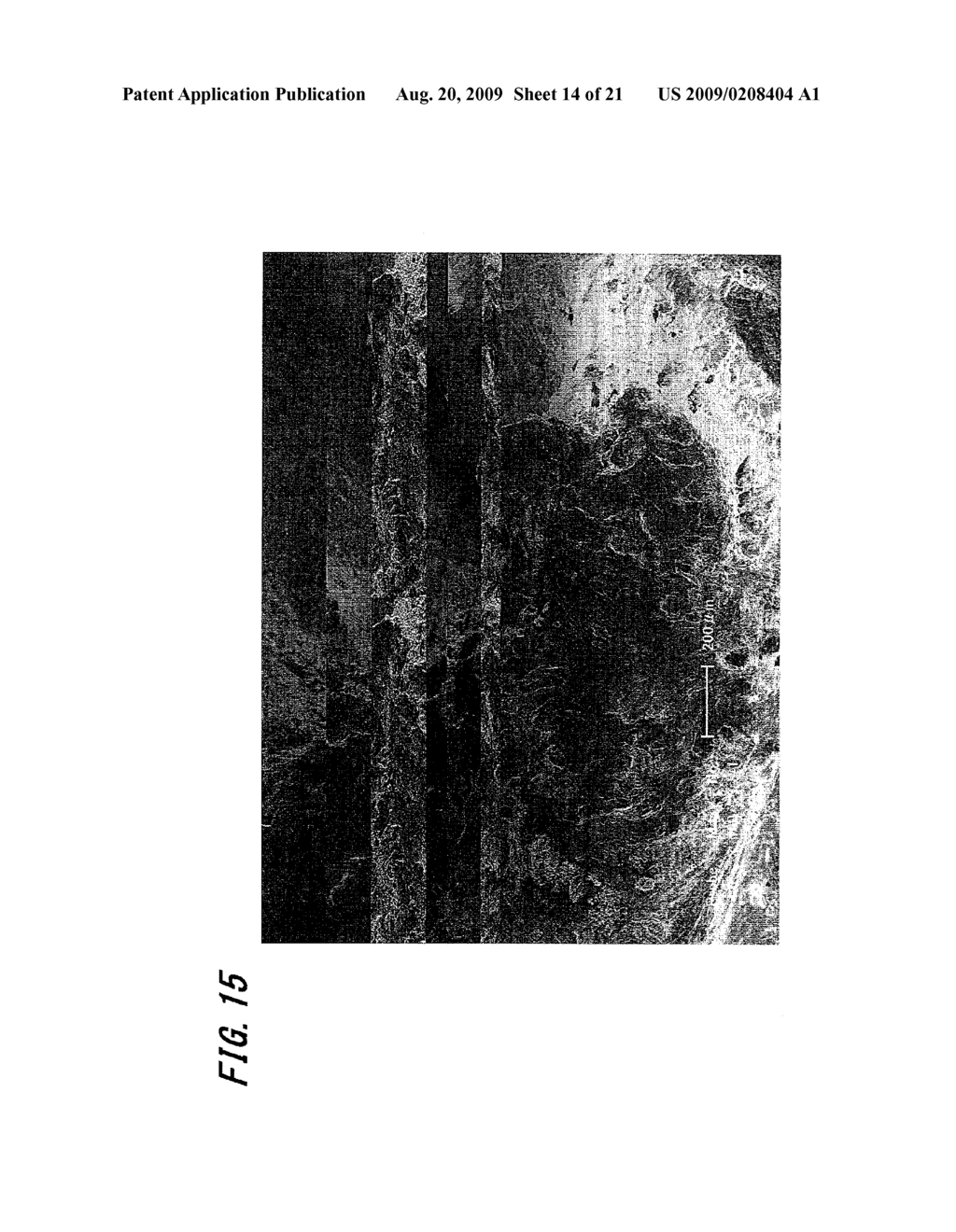 HYDROGEN GENERATING METHOD, HYDROGEN GENERATING ALLOY AND METHOD FOR PRODUCING HYDROGEN GENERATING ALLOY - diagram, schematic, and image 15