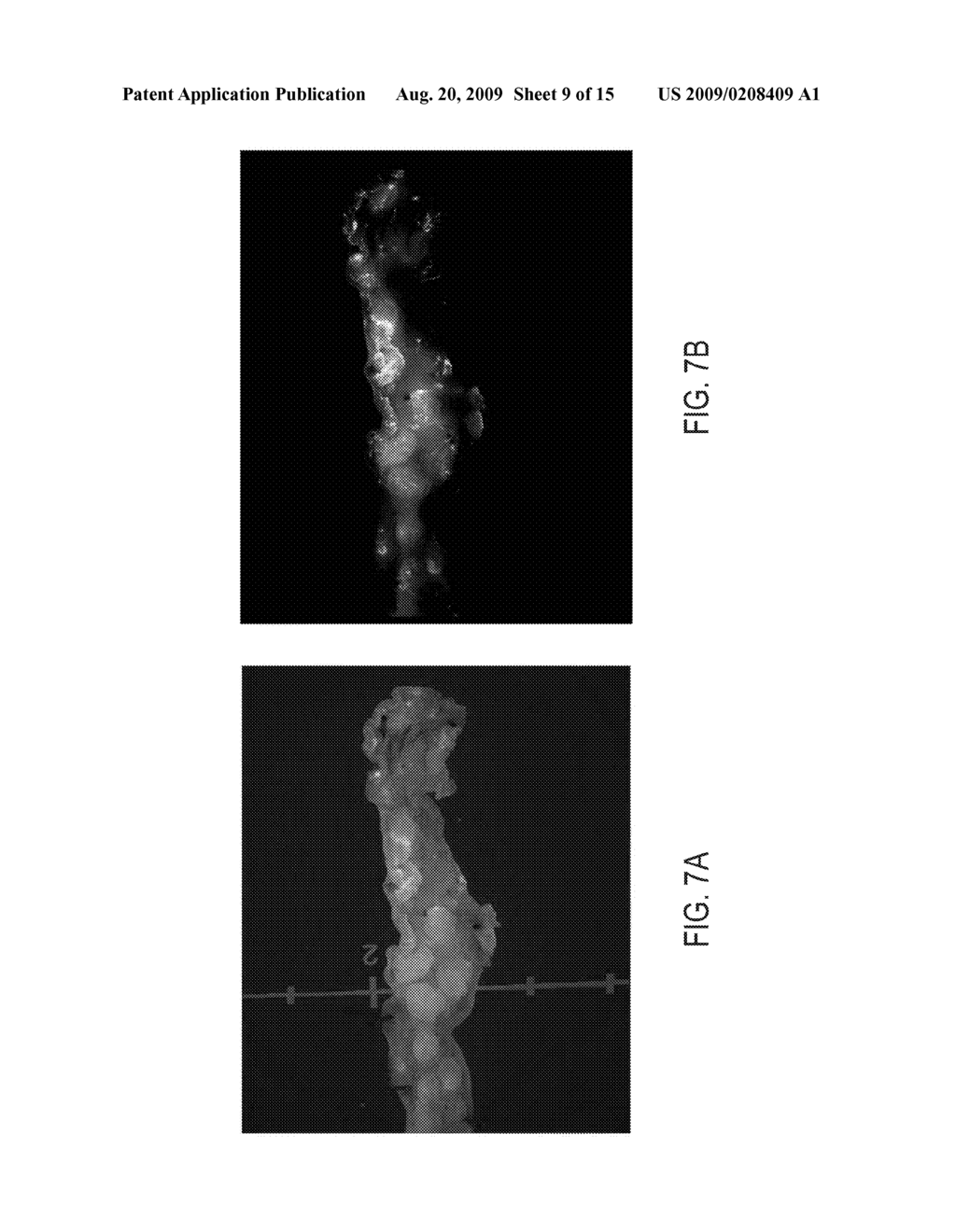 ENCAPSULATED NANOPARTICLES FOR COMPUTED TOMOGRAPHY IMAGING - diagram, schematic, and image 10