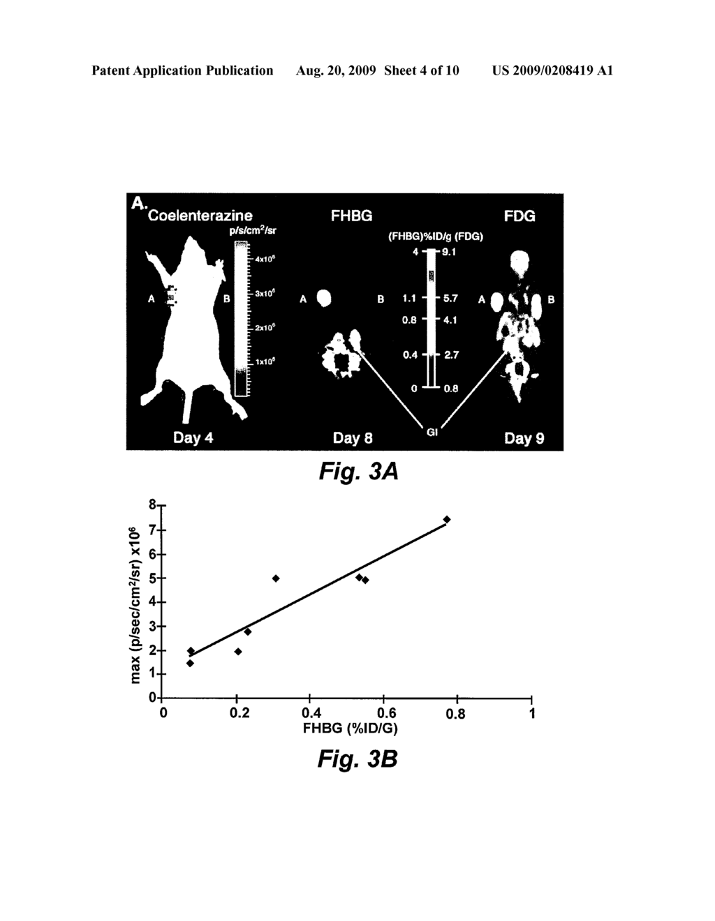 Multimodality Imaging of Reporter Gene Expression Using a Novel Fusion Vector in Living Cells and Animals - diagram, schematic, and image 05