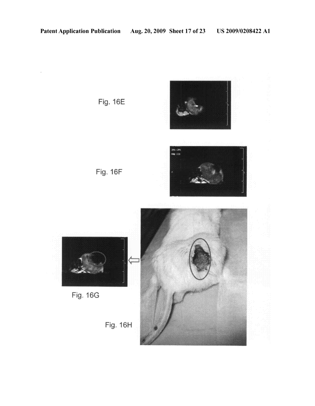 Composition for improving efficiency of drug delivery - diagram, schematic, and image 18