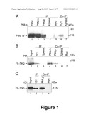  Method for Treating Polyglutamine Expansion Neurodegenerative Diseases diagram and image