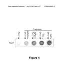  Method for Treating Polyglutamine Expansion Neurodegenerative Diseases diagram and image