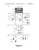  Method for Treating Polyglutamine Expansion Neurodegenerative Diseases diagram and image