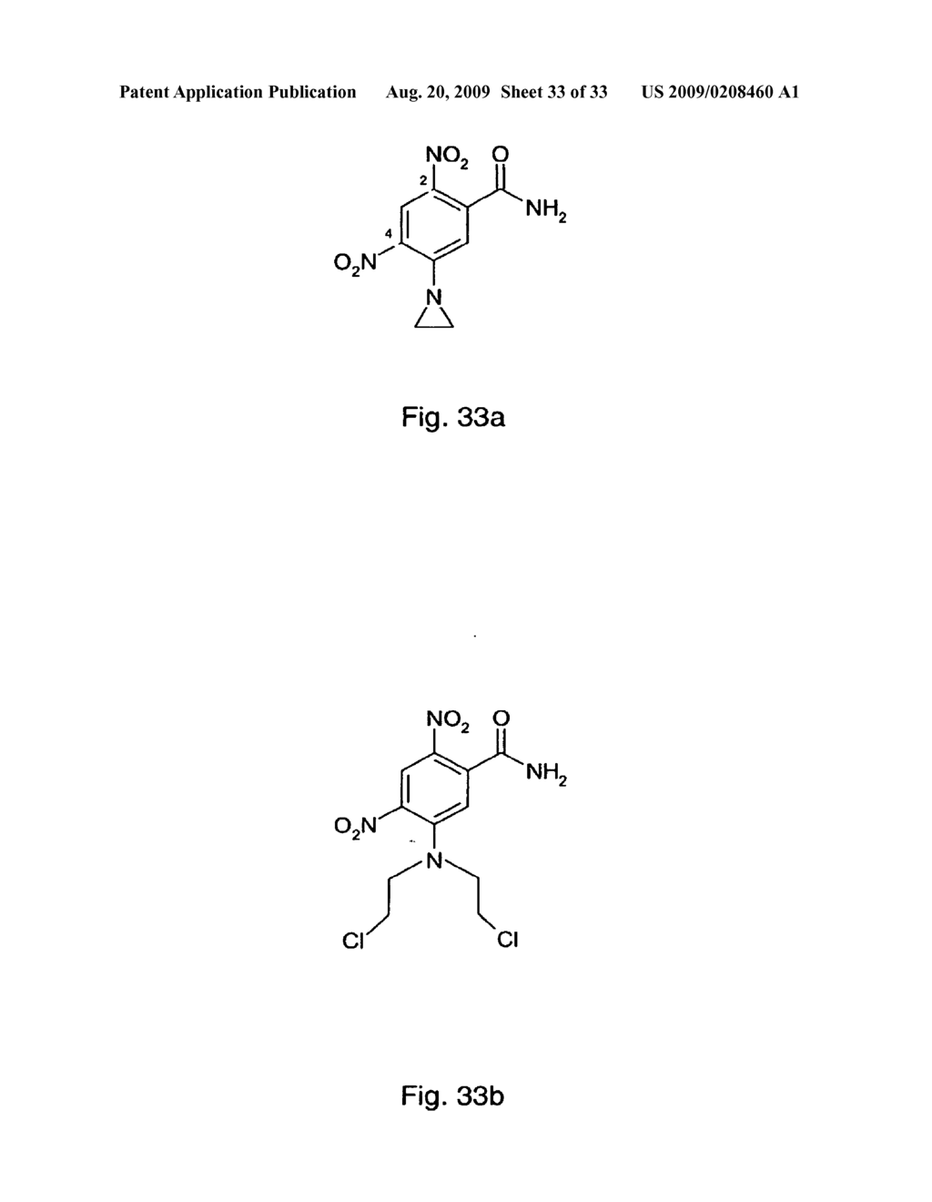 Mutant Herpes Simplex Viruses Comprising Nucleic Acid Encoding A Nitroreductase - diagram, schematic, and image 34