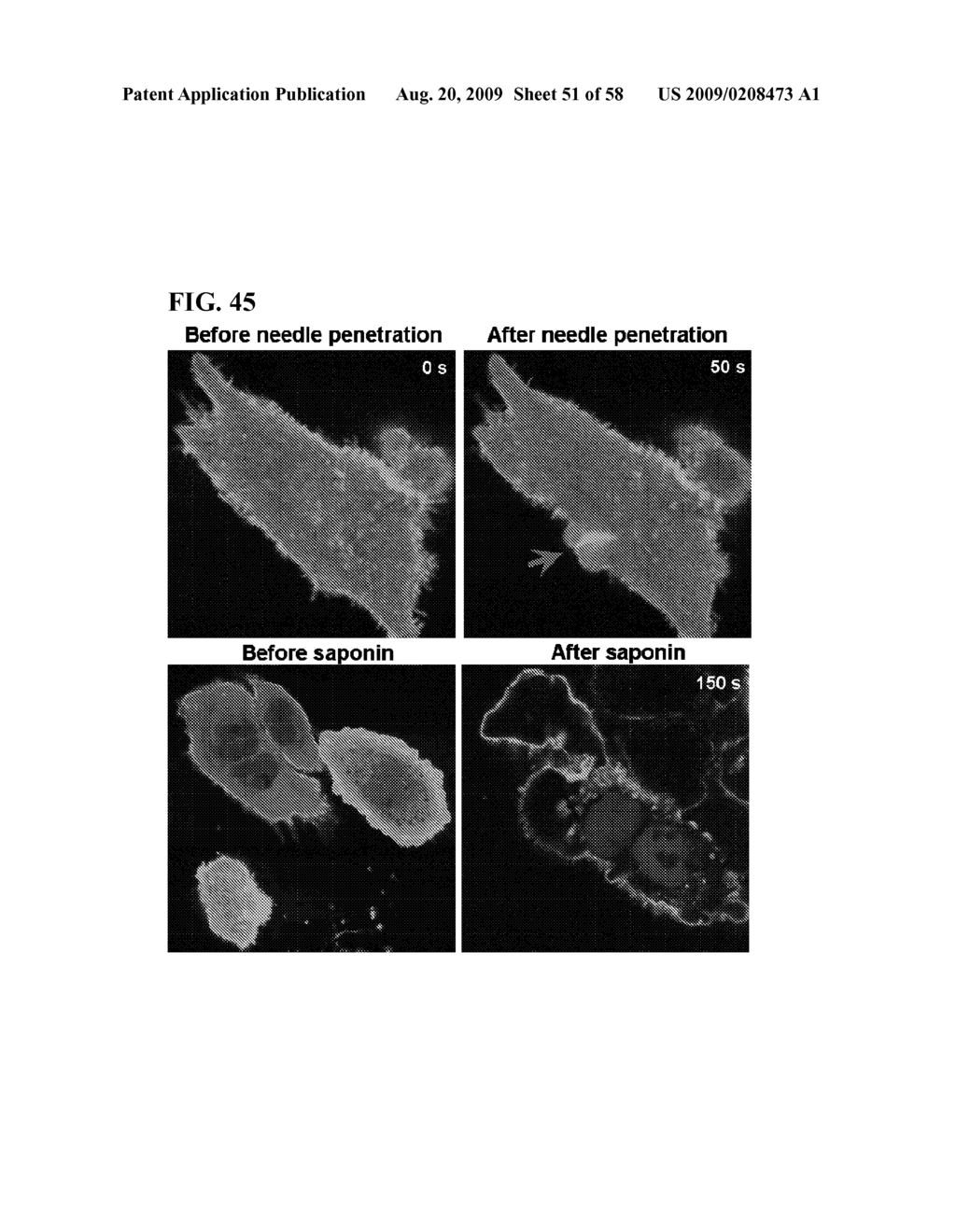 COMPOSITIONS AND METHODS TO MODULATE CELL MEMBRANE RESEALING - diagram, schematic, and image 52