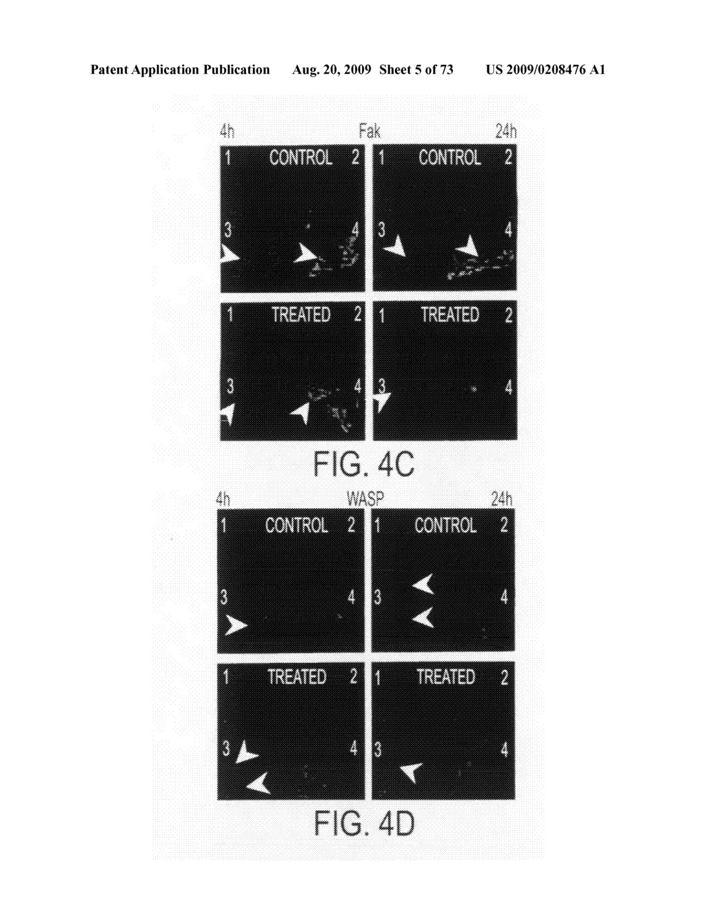 Compositions and methods to concurrently treat or prevent multiple diseases with cupredoxins - diagram, schematic, and image 06