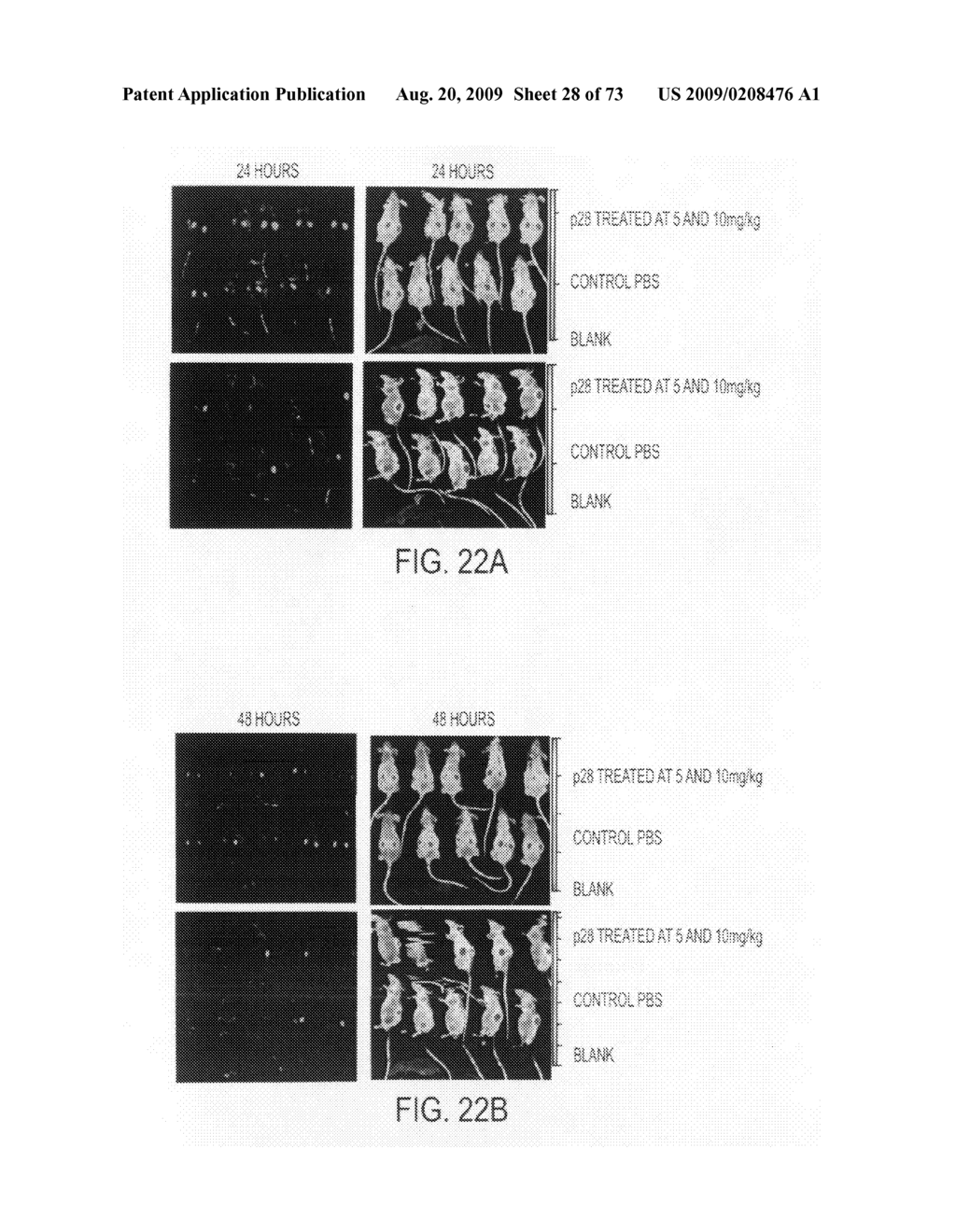 Compositions and methods to concurrently treat or prevent multiple diseases with cupredoxins - diagram, schematic, and image 29